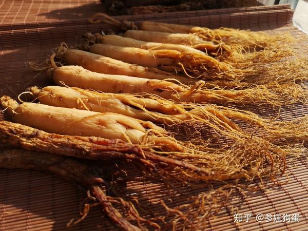 女人吃人参能解决哪些问题