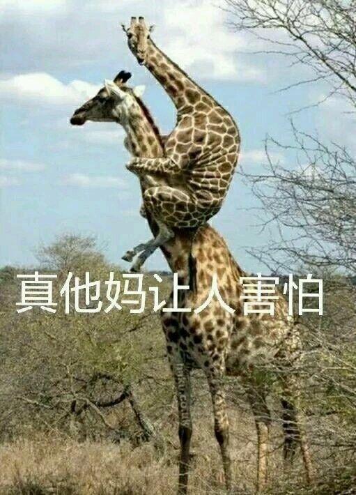 有没有过手机放裤兜里自己操作的经历?