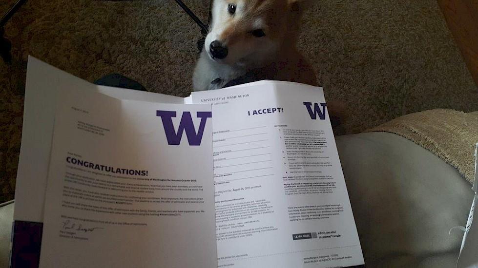 高中在加拿大多伦多留学都需要注意什么?