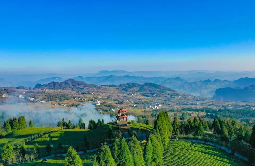 说好了这个夏天我在正安等你