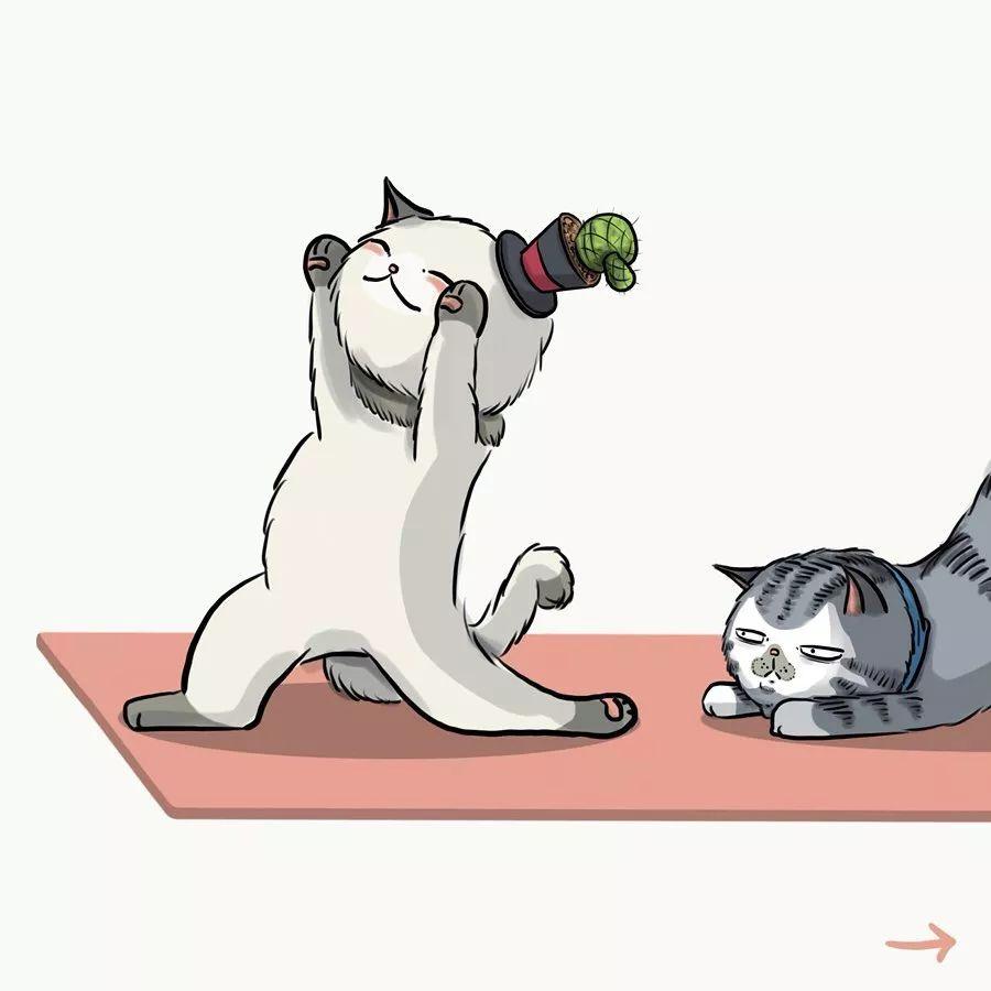 了解一下.游泳,健身,瑜伽,奶喵胖了怎么办?那就更好了!