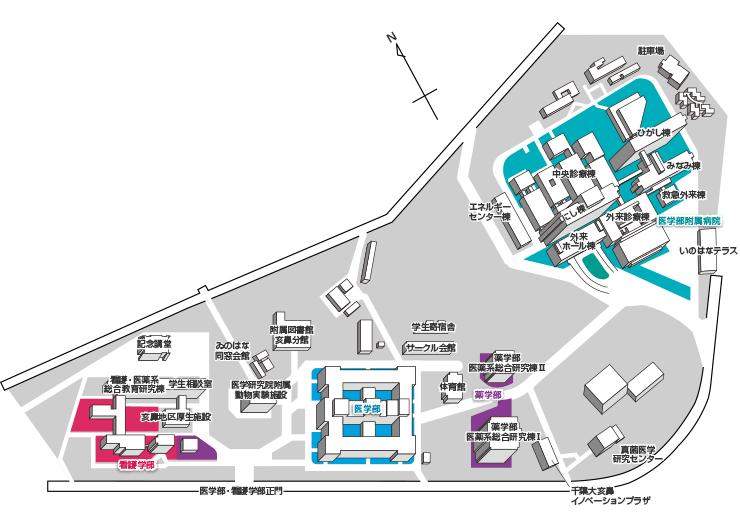 一番带你看名校——千叶大学