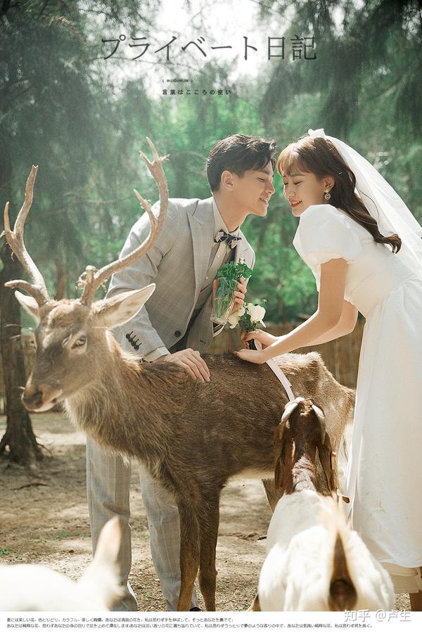 翡翠湾婚纱摄影 动物园篇 知乎