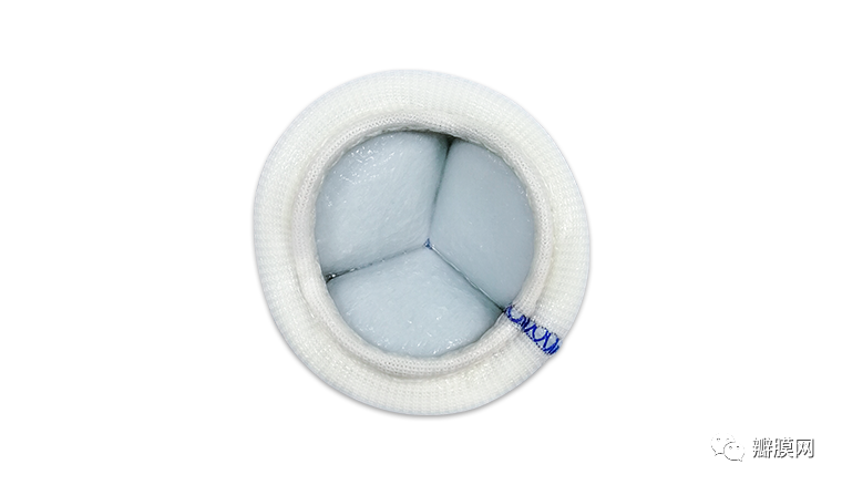 聊聊你不太了解的牛心包瓣