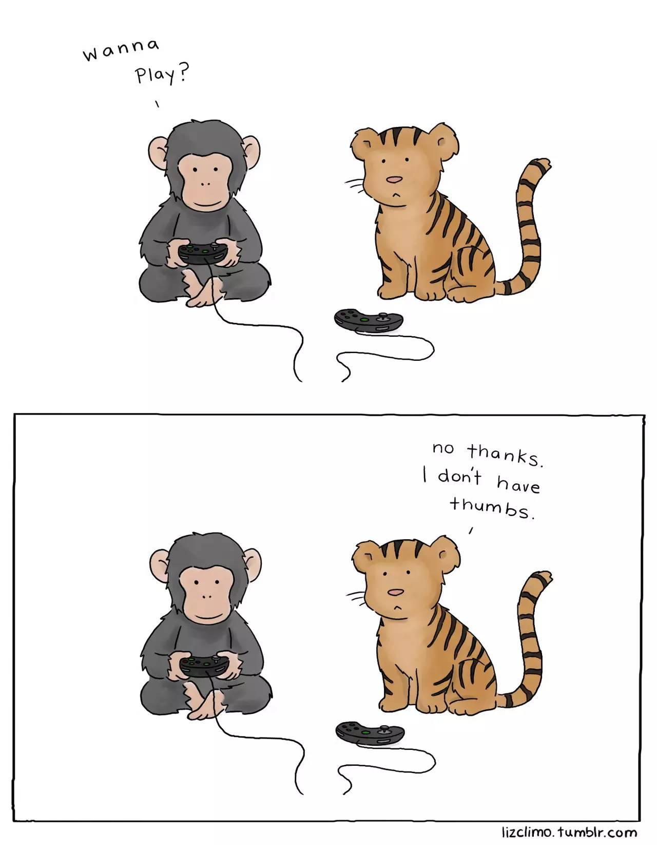 新周猫当动物开始用上手机以及朋友圈