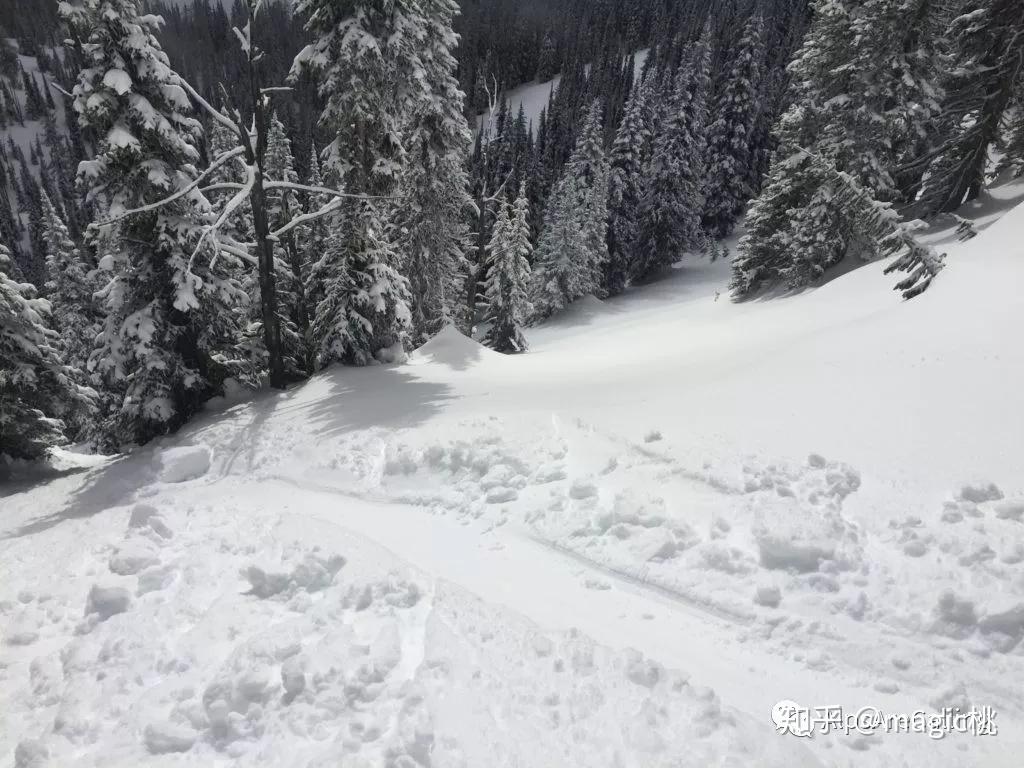 雪崩知识2 地形- 知乎