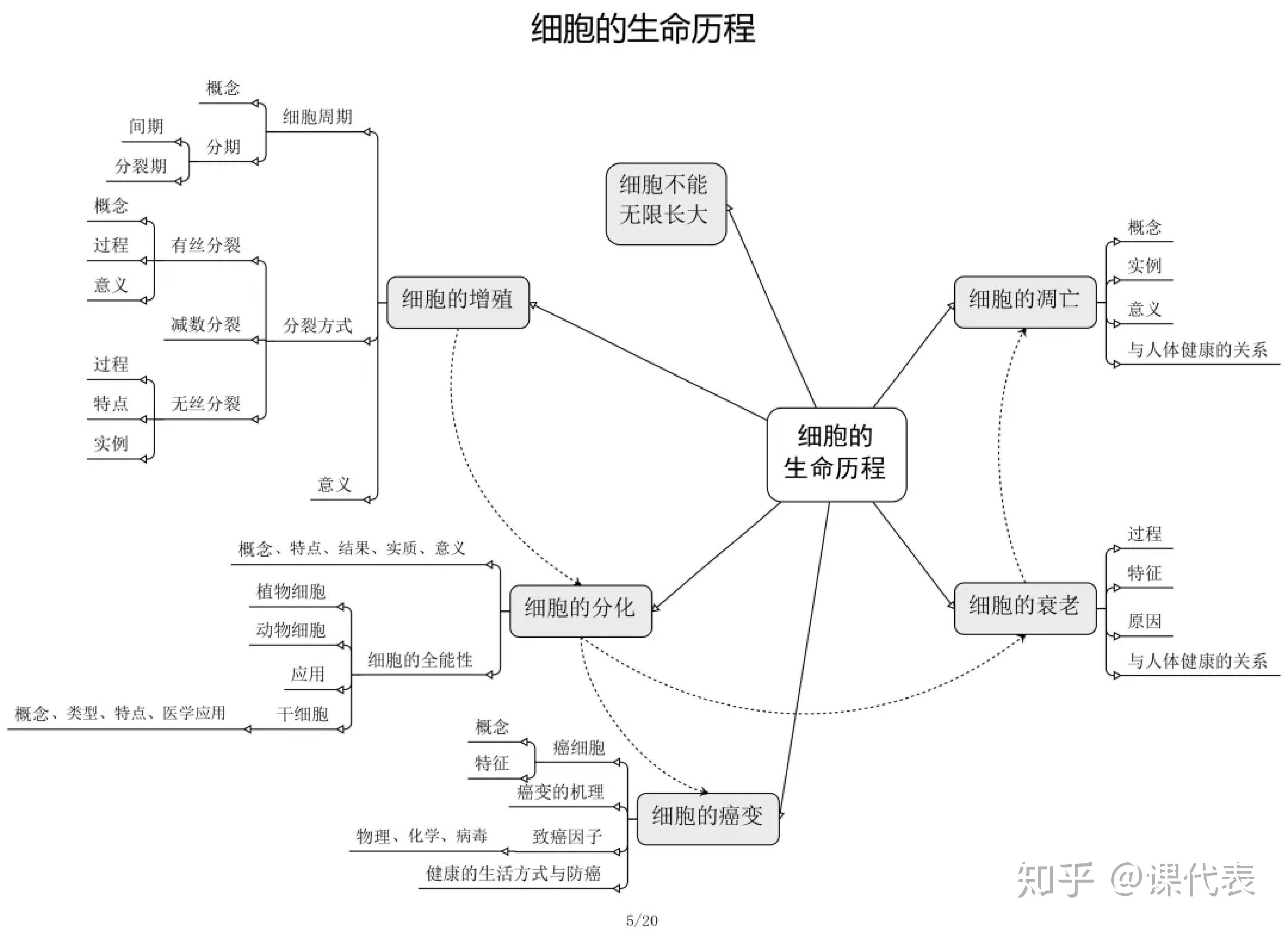高中生物知识思维导图:清北学霸整理,打印一份用三年 - 知乎