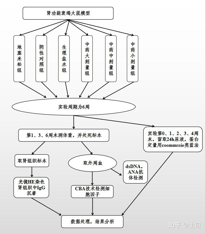 超详细的医学研究技术路线图绘制教程~