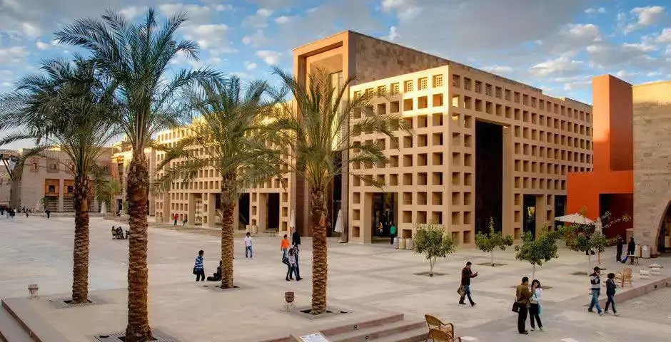 rana el kaliouby是开罗美国大学 (the american university in cairo