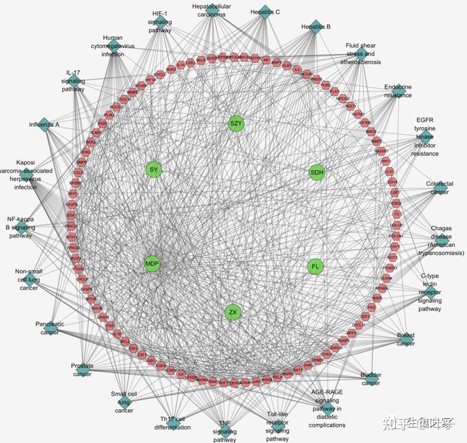 Cytoscape软件制作蛋白互作网络图完整步骤 - 知乎