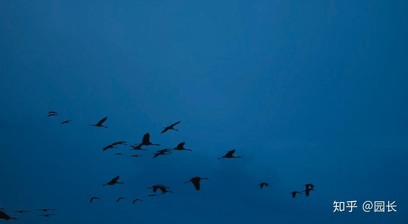 2020 流行色:古典蓝