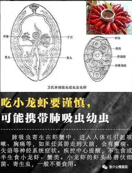 现在你会辨别田螺与福寿螺了吗那我要考考你