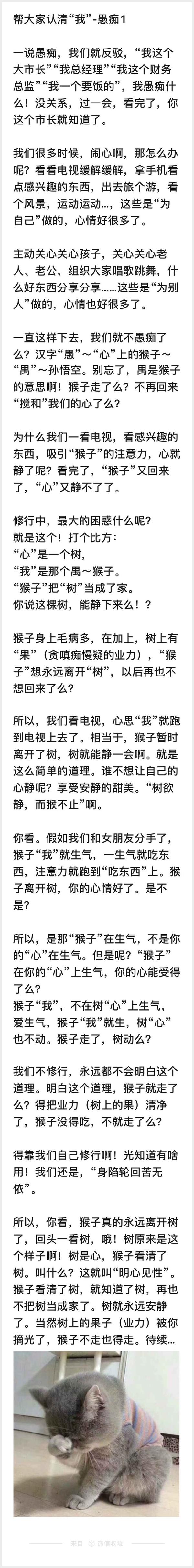 认识自我13傲慢愚痴 知乎