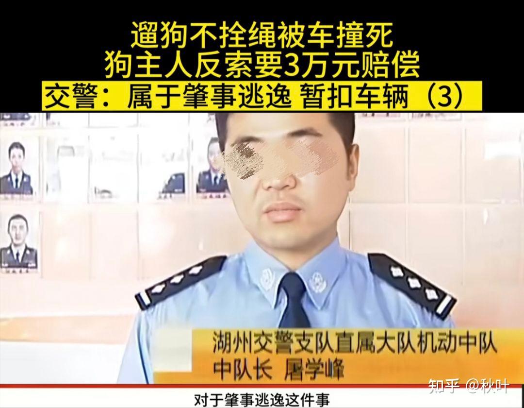 遛狗不拴绳被车撞死，狗主人态度嚣张索赔，交警肇事逃逸暂扣车辆 知乎 6921