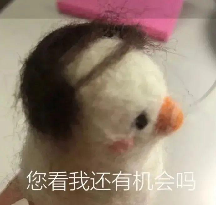 120张万能的表情包推荐-万能表情图片大全