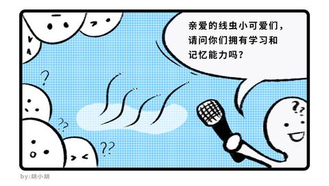 图标