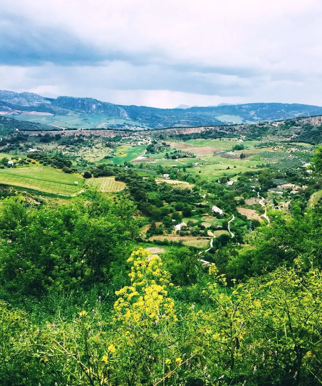 看完公牛历险记从此爱上西班牙的疯狂厚重诗意