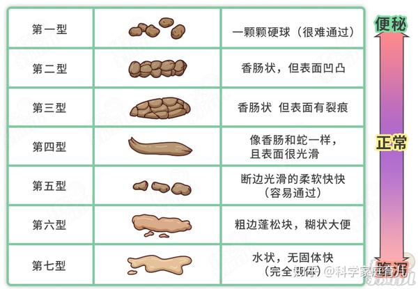 蛋花、泡沫、黏液……便便的4色7形，都是疾病的信号，3种快就医 - 知乎