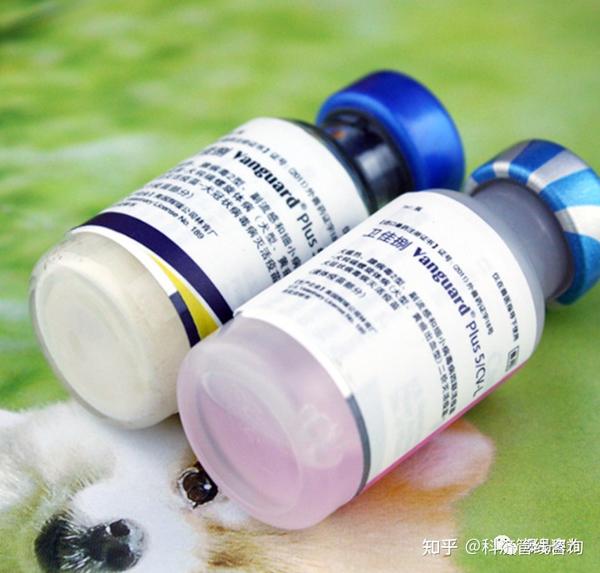 解码宠物行业巨无霸企业,硕腾何以成就全球动保龙头? - 知乎