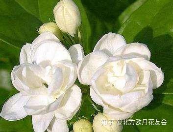 v2-6ad687200776d71ac9516ba83fe4efde_b.jpg
