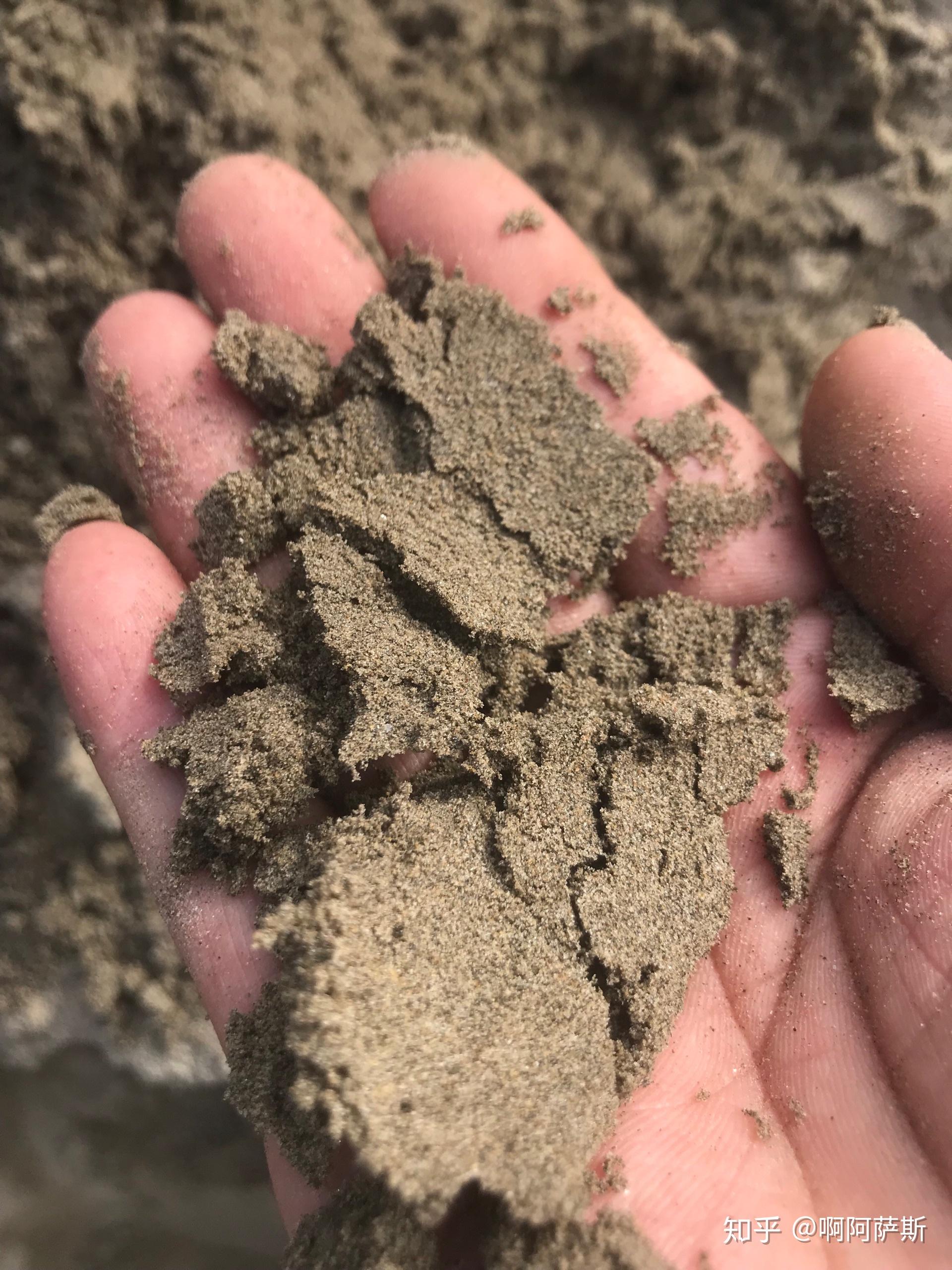 地铁沙,江沙 - 知乎