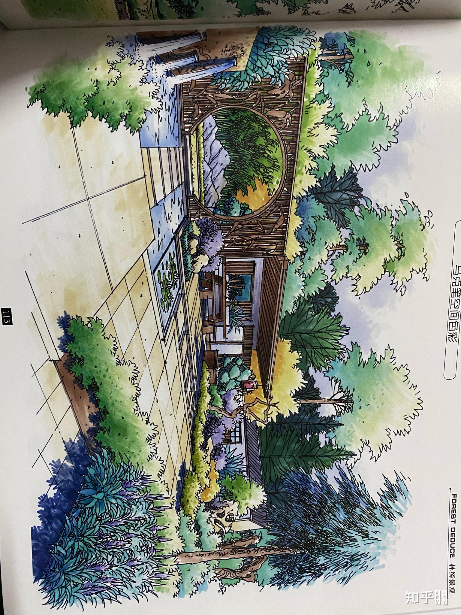 想考川农风景园林的研究生哪个手绘培训机构比较好