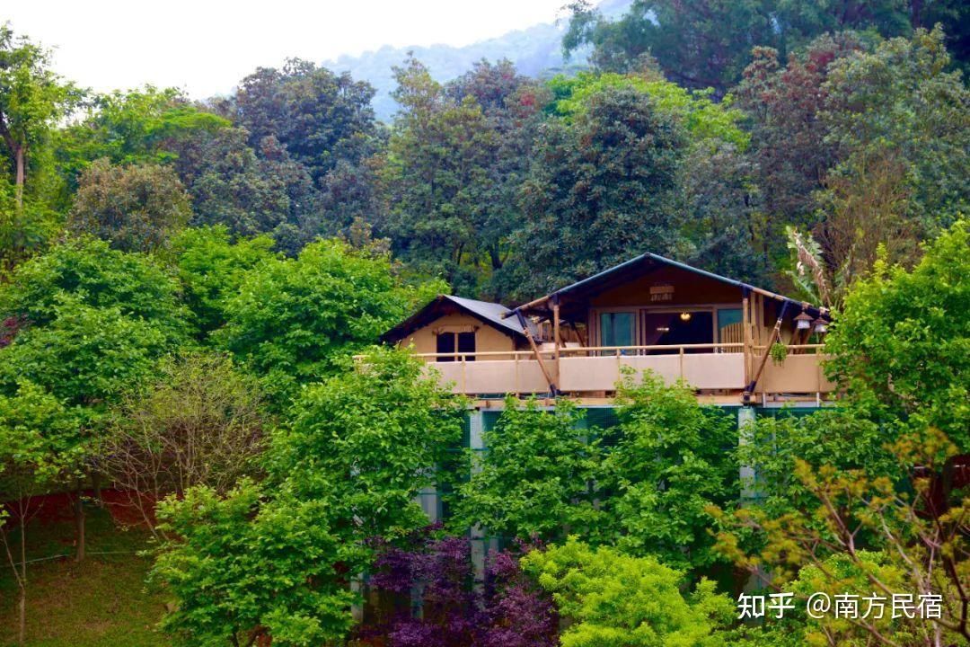 广州从化网红森林民宿!海拔666米爱丽丝仙境,鸟巢树屋丨禧悦庄 - 知乎