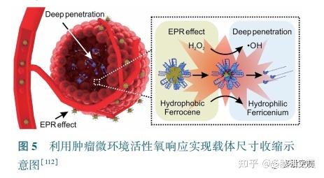 肿瘤微环境响应药物递送系统的设计 - 知乎