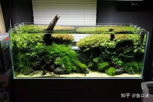 水草缸常见 十五大底砂 知乎