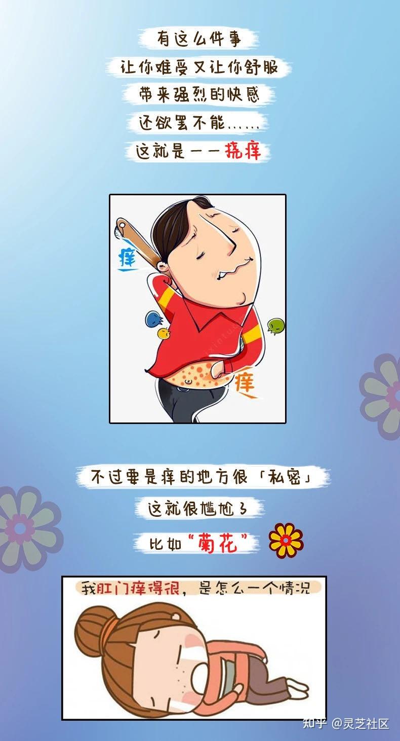 菊花痒的真相你可能会头皮发麻