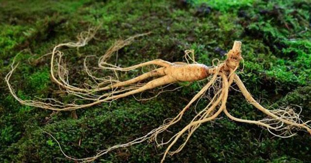v2-6b1cf696790c0d34e978267268708225_1440w.jpg?source=172ae18b