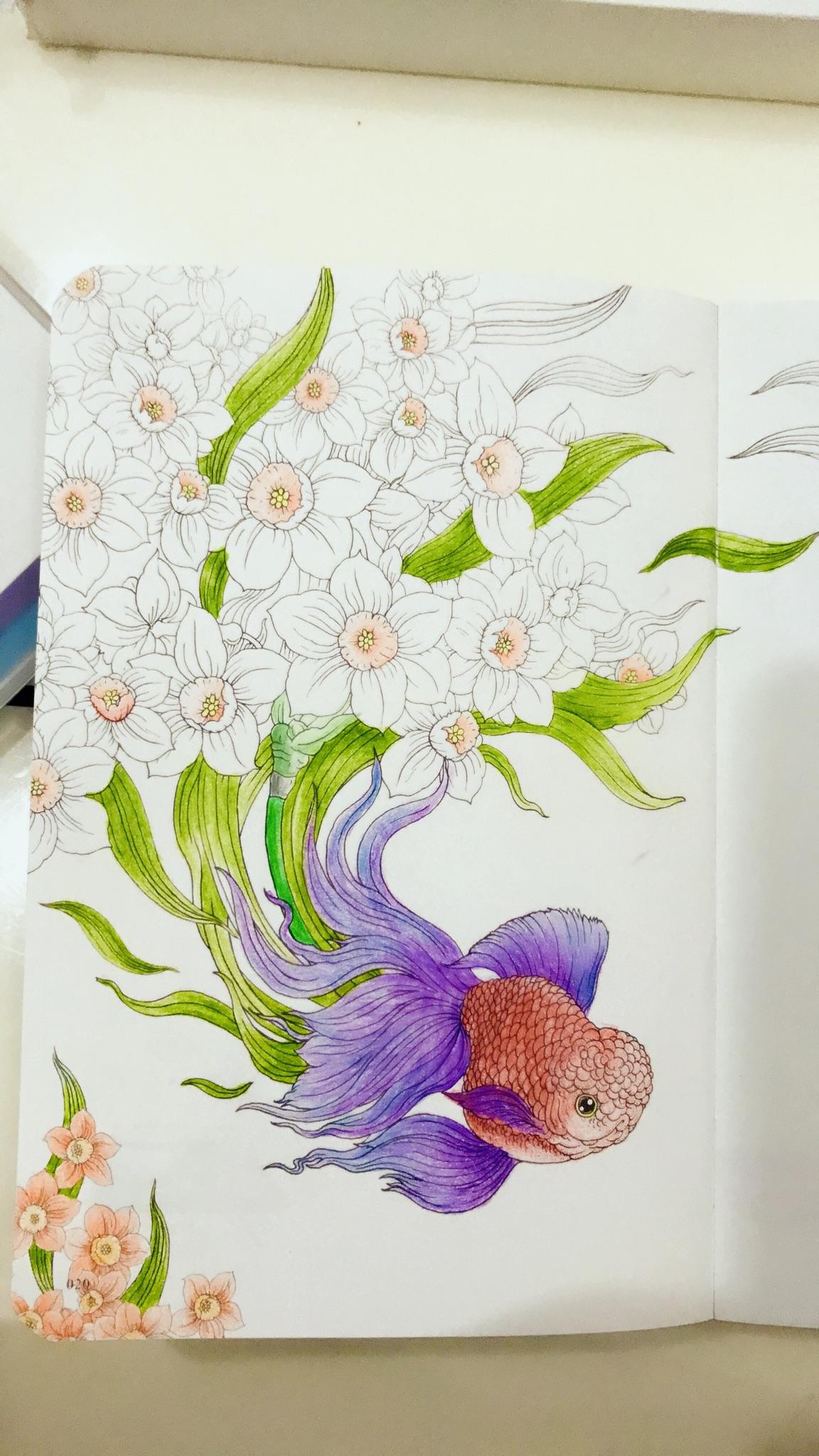 有人买了500色彩色铅笔吗感觉怎么样