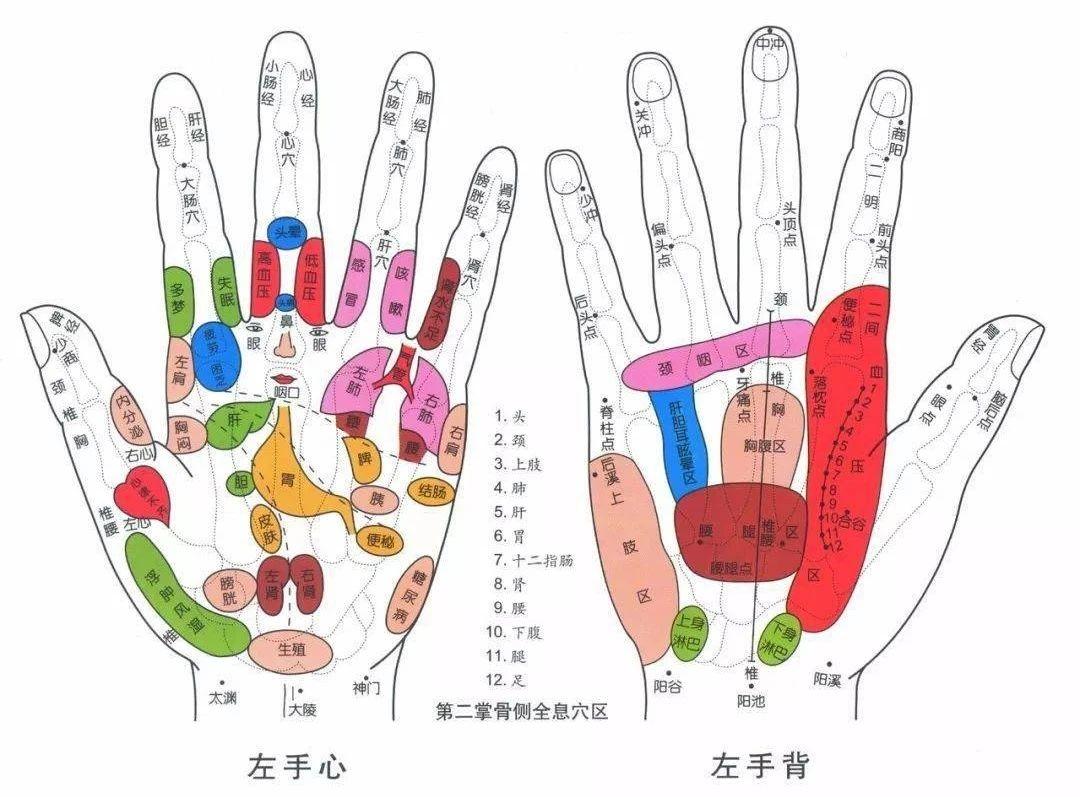 脾胃不好,找左手;肝不好,找右手!五脏六腑在手部都有对应的反射区!五个手指,哪里不舒服揉哪里! - 知乎
