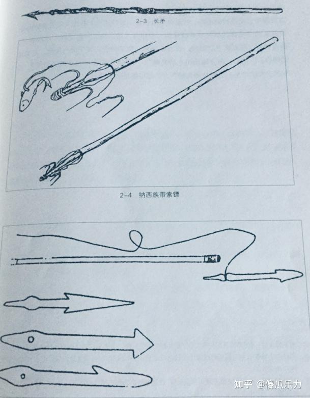 古人不但钓鱼叉鱼叉鳖还叉巨大的鳇鱼