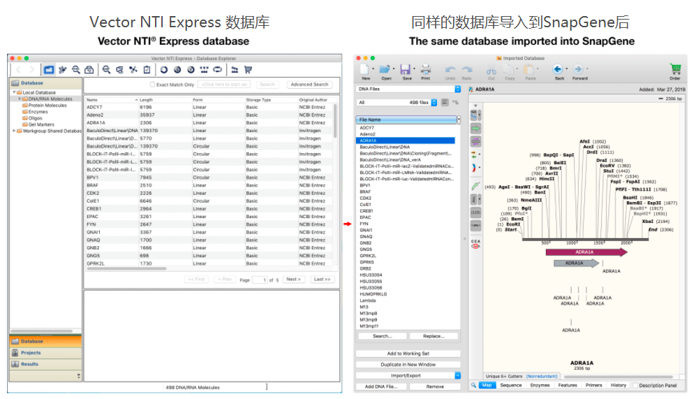 Vector Nti Software SnapGene完美替代Vector NTI,如何用SnapGene打开Vector NTI文件呢? - 知乎