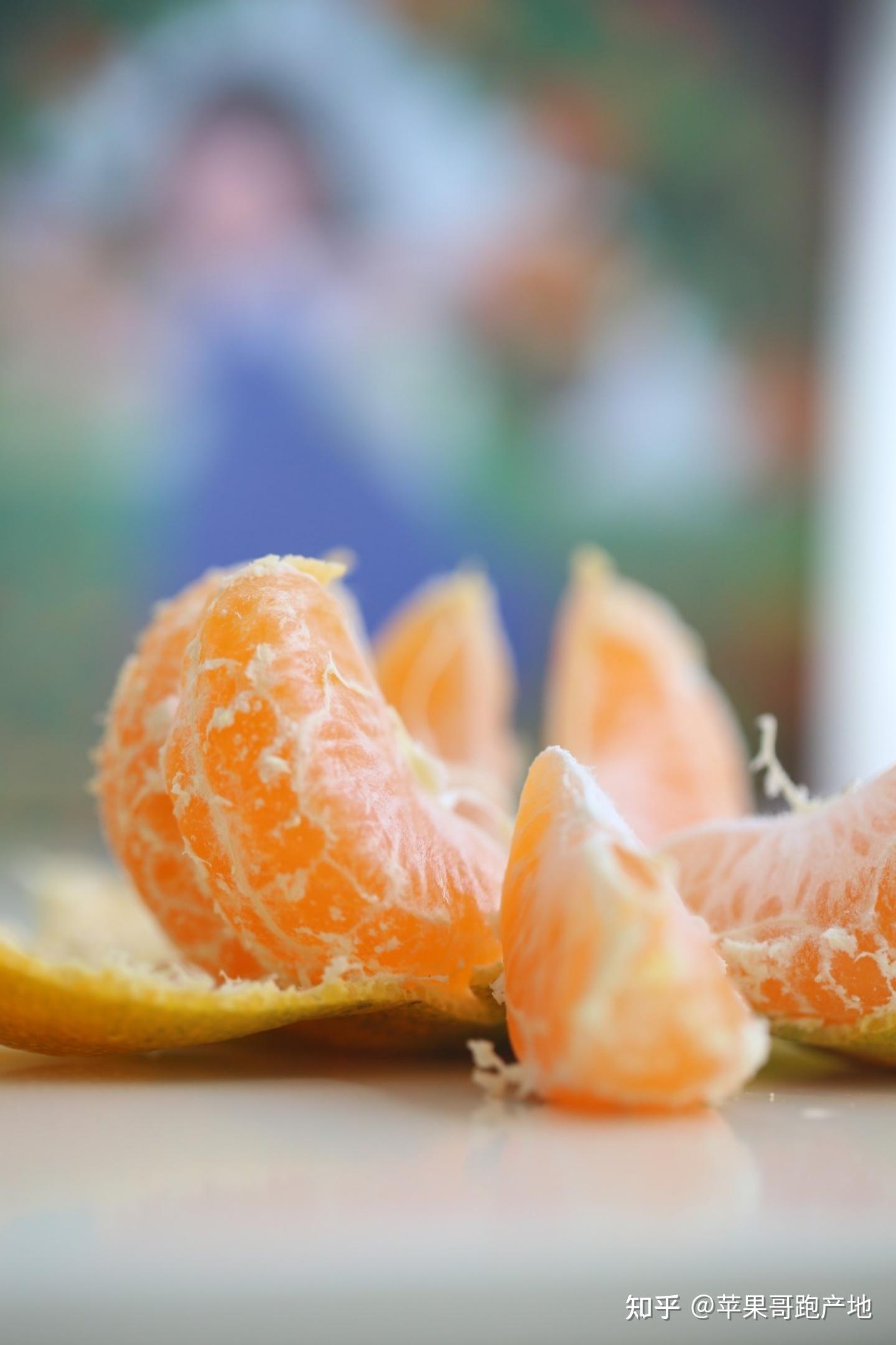 柑橘疮痂病-柑橘病虫害诊断-图片