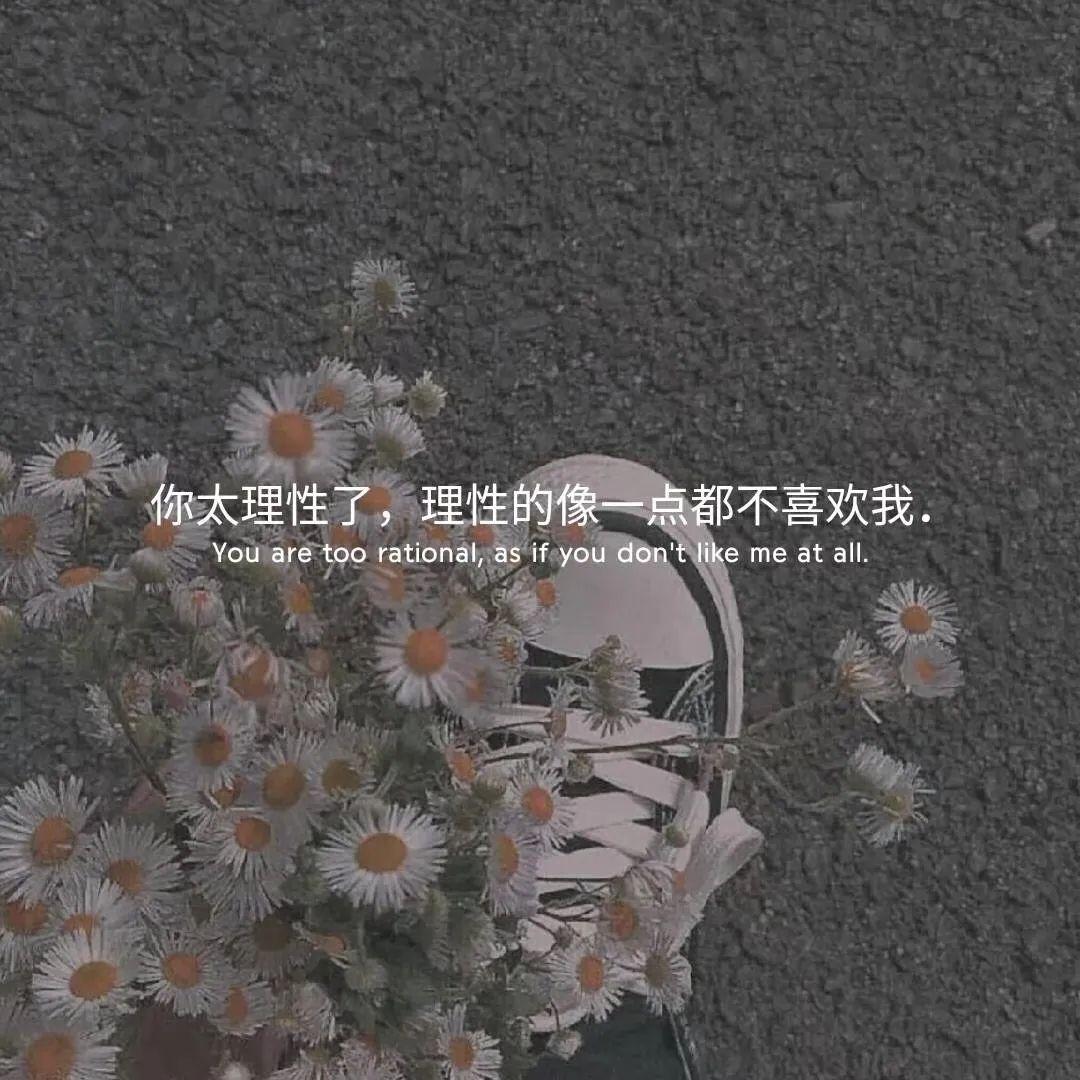 哪里有好看的微信封面背景图呀