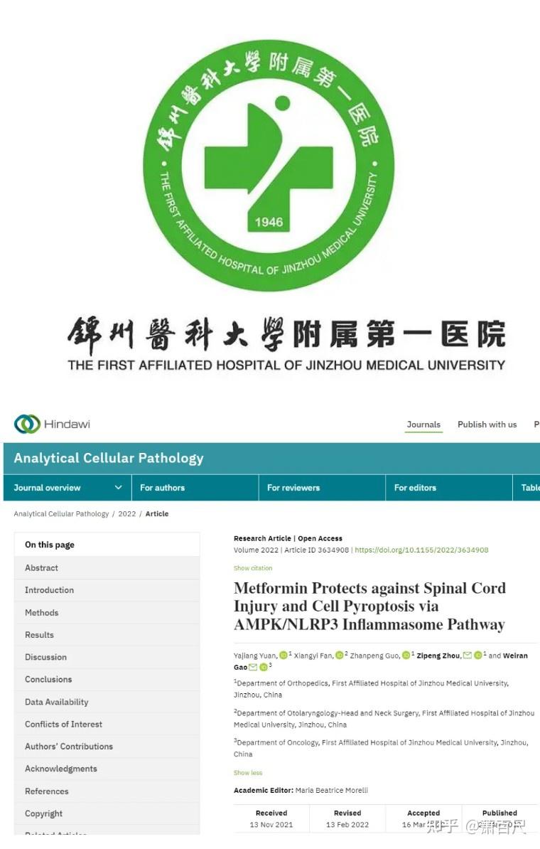 锦州医科大学第一附属医院发表的论文因图片疑似重复被质疑