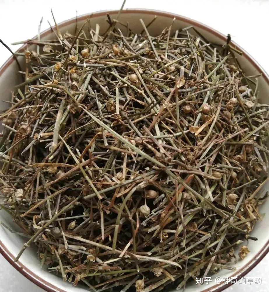 中药材：白花蛇舌草 - 知乎