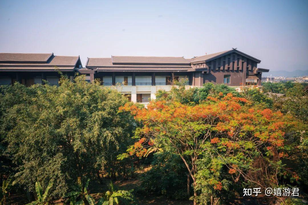 干货贴 | 西双版纳选酒店最强攻略 - 知乎