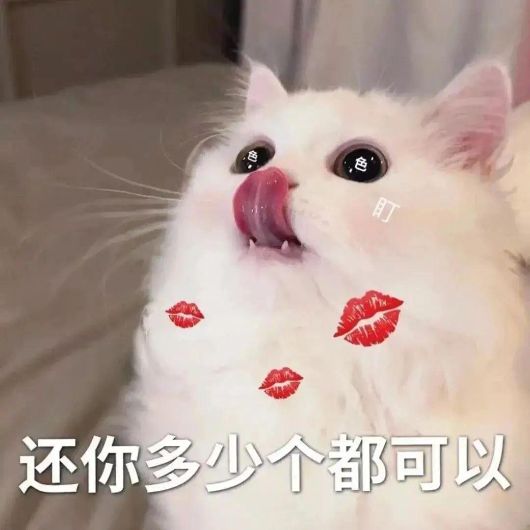 骚猫|可爱|涩涩（色色）|情侣|发牢骚表情包 - 知乎