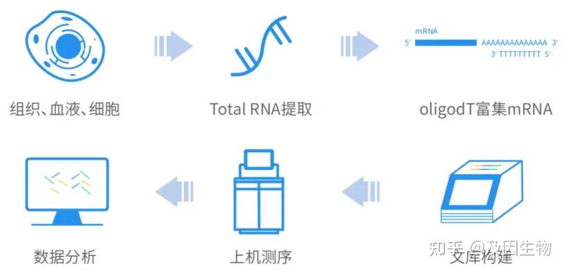 技术介绍丨一文带您了解转录组学及结果解读！ - 知乎