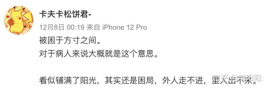 b站知名up主"卡夫卡松饼君"之事,折射出来的是当代网络社会病态人性和