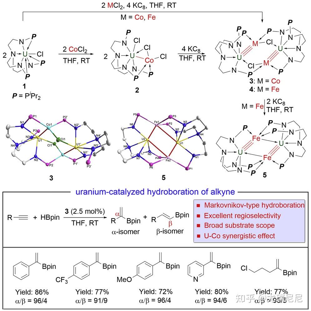 2022年f区金属有机化学十佳论文