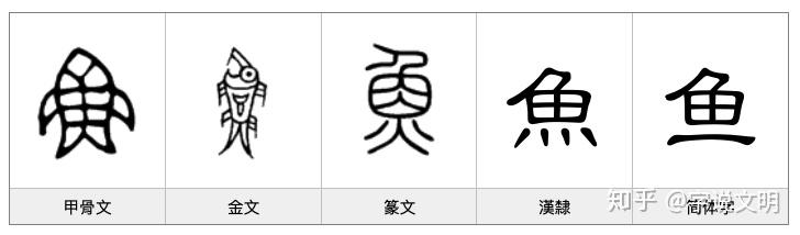 汉字鱼的演变过程字体图片