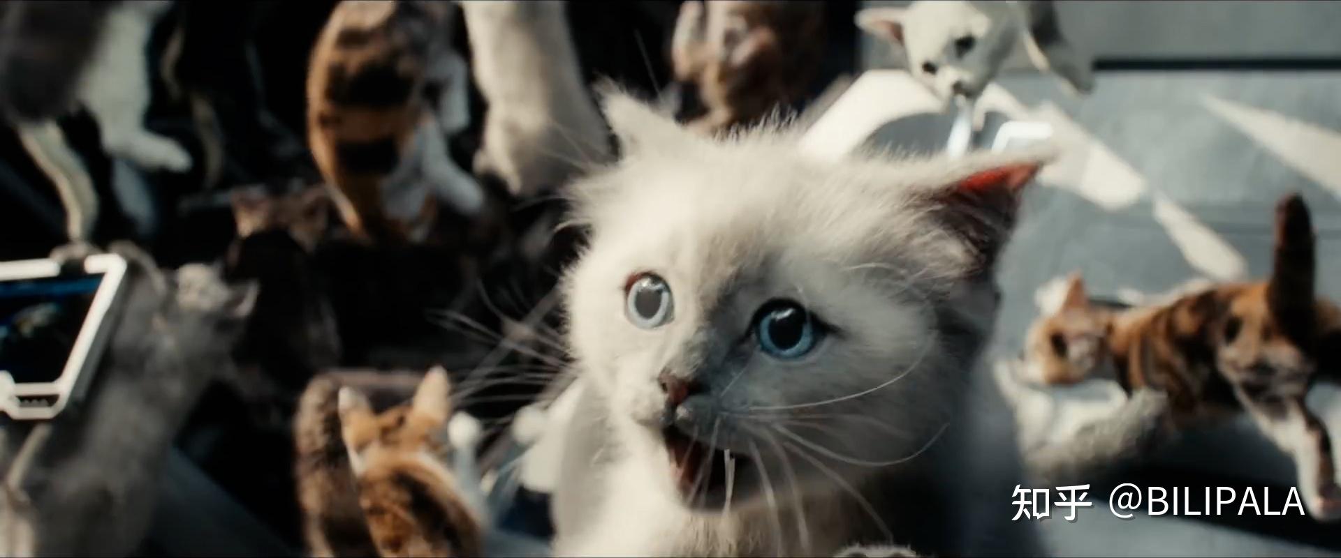 漫威惊奇队长2观影前你需要知道的内容