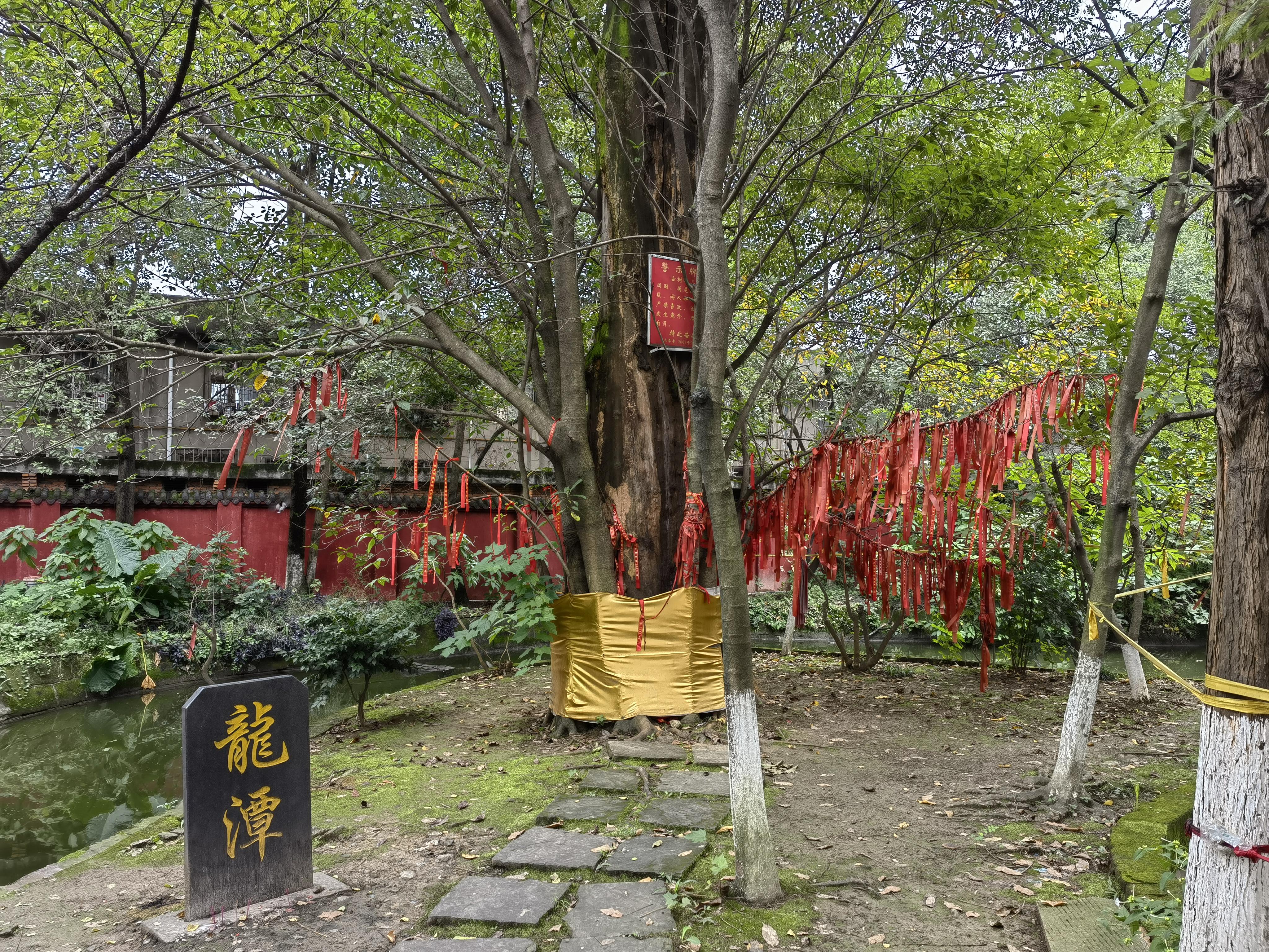 成都龙潭寺老照片图片