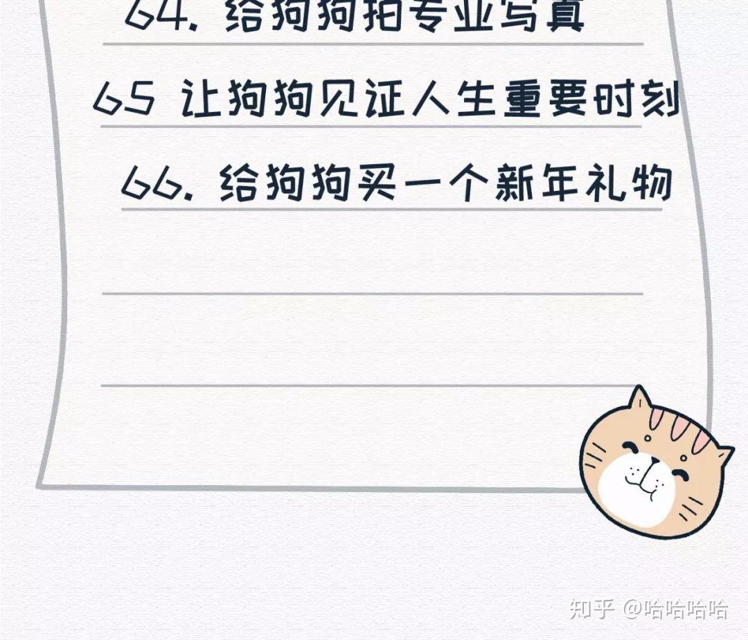 养狗狗最幸福的66件小事,爱它,就送派氏德康 - 知乎