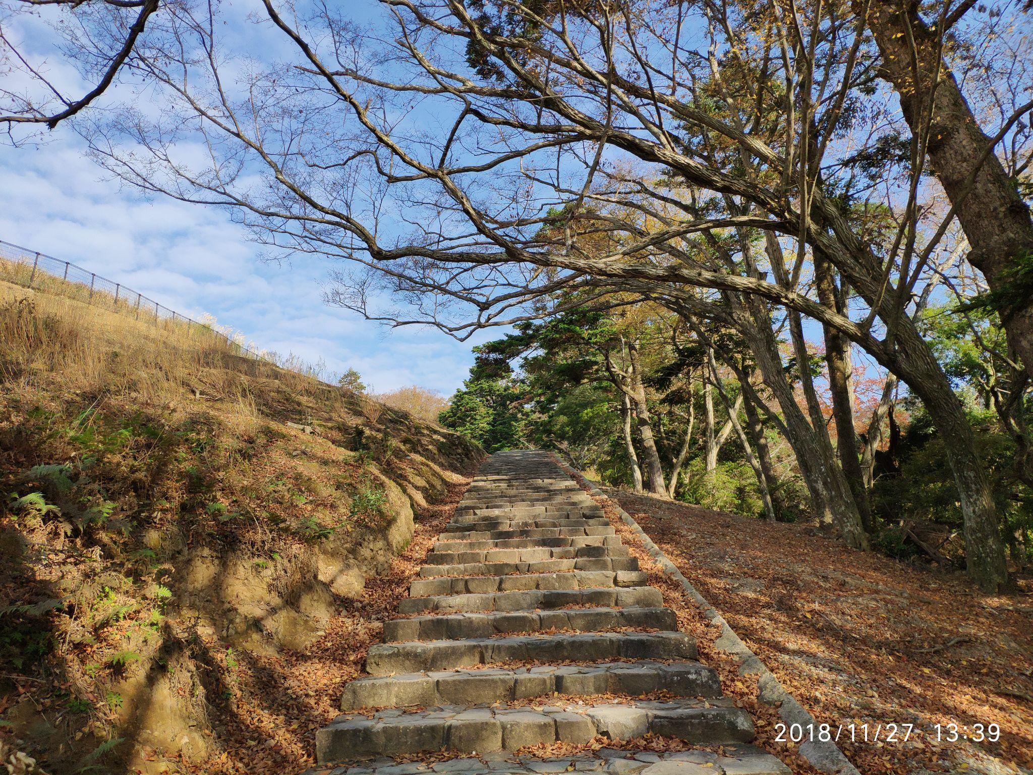 (四)奈良 - 知乎