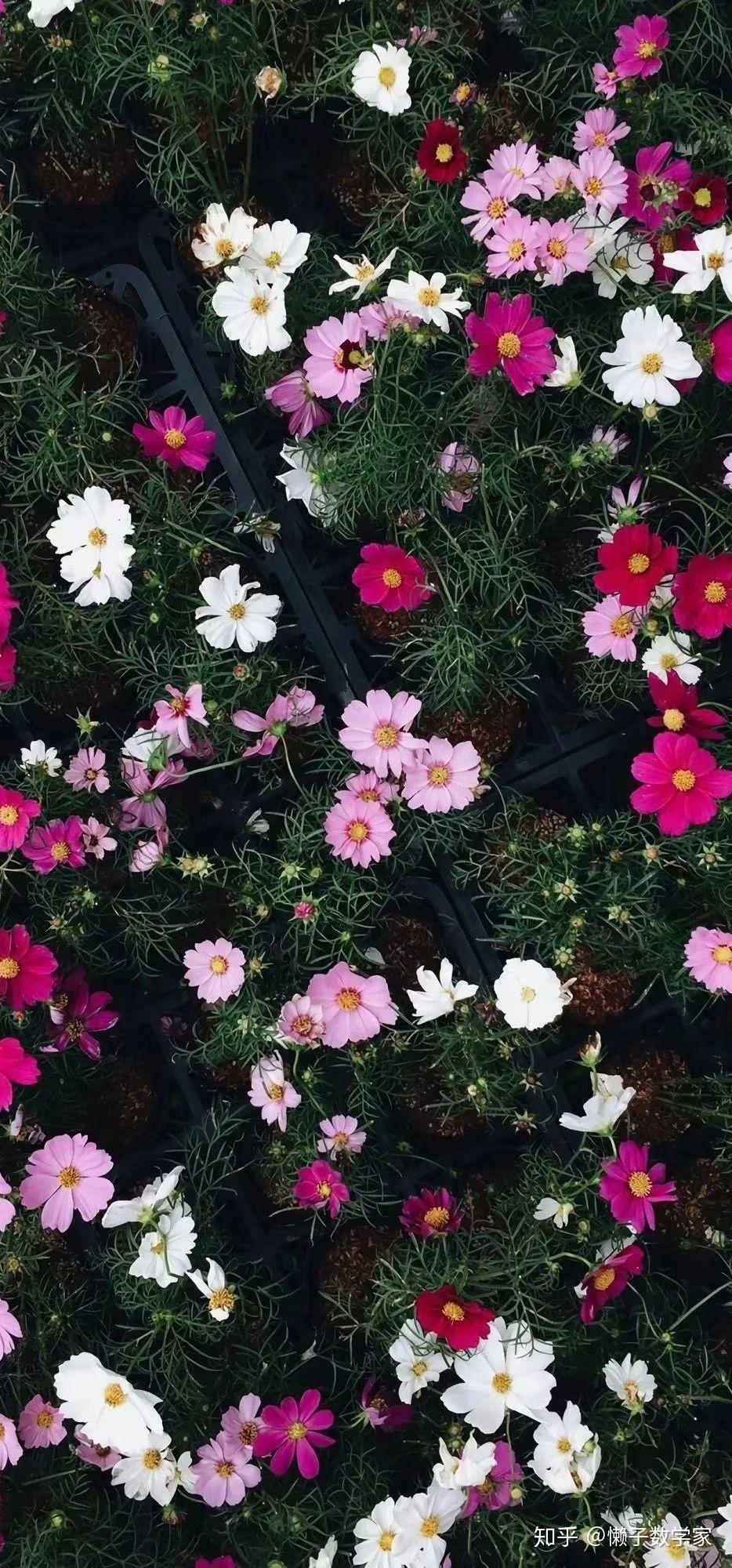 请问有没有好看的微信聊天背景图片